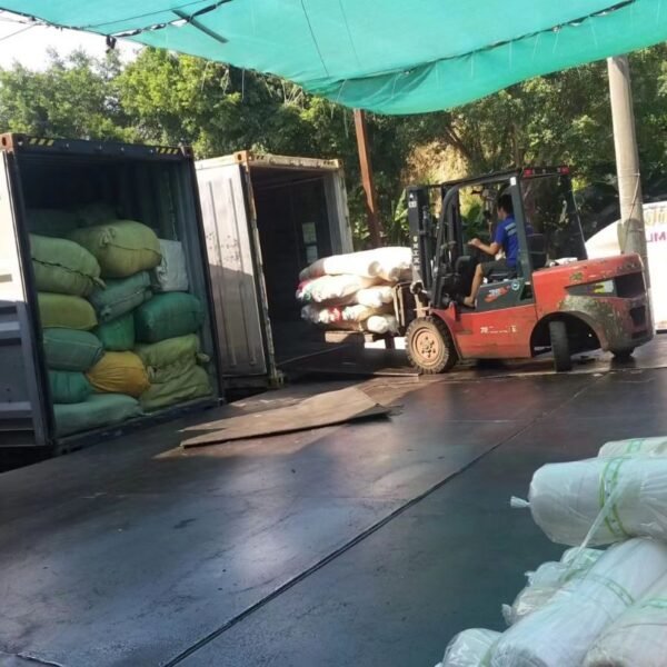 xr:d:DAFh7rIlmqU:95,j:7434727800627697689,t:23112911